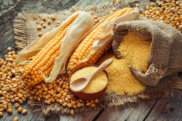 Corn: A nutritious staple or hidden health risk?