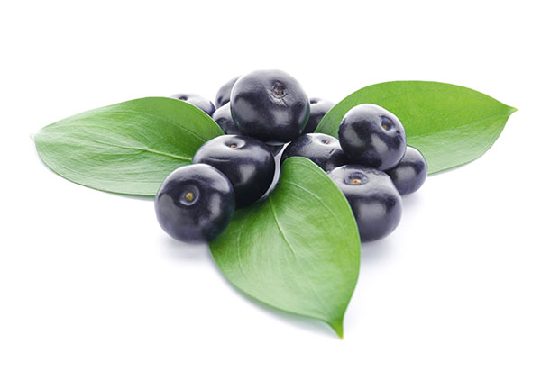 The truth about acai berries: Superfood or overhyped marketing gimmick?