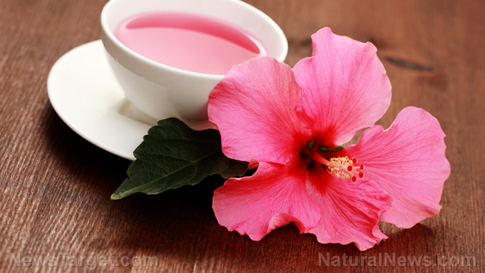 Can hibiscus tea help lower blood pressure naturally?
