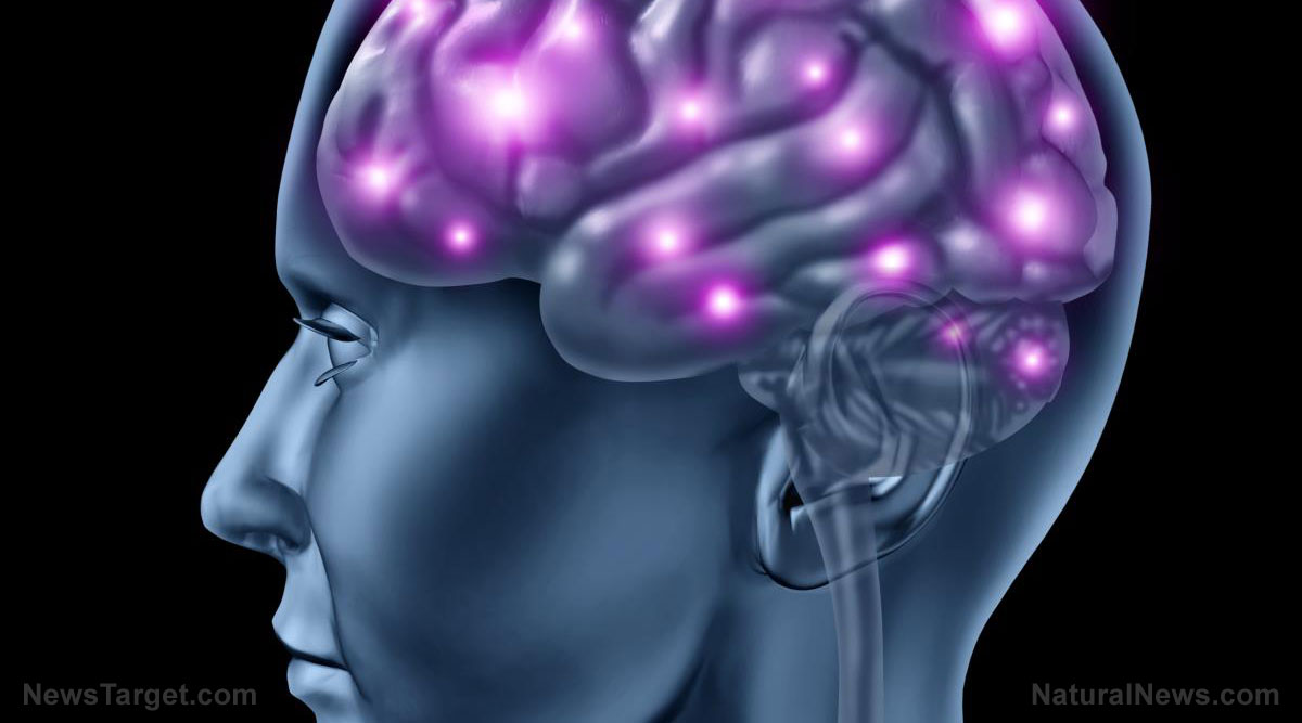 Arginine shows promise as low-cost weapon against Alzheimer’s in animal studies