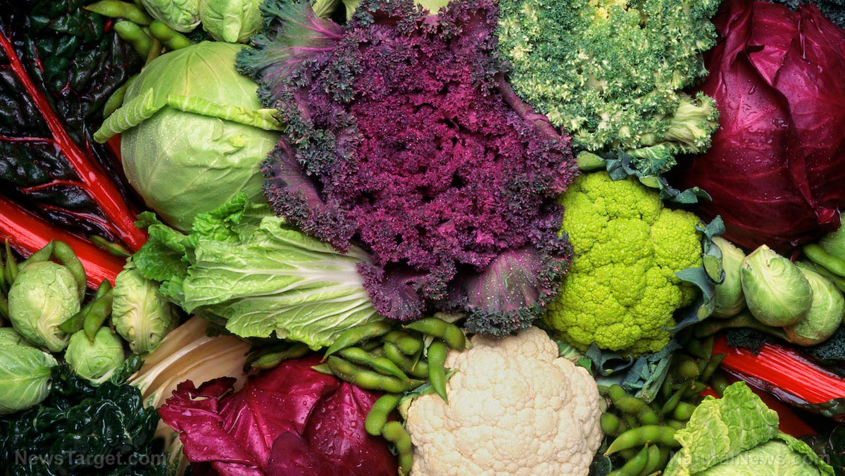 The power of sulfur: 9 Essential foods for optimal health