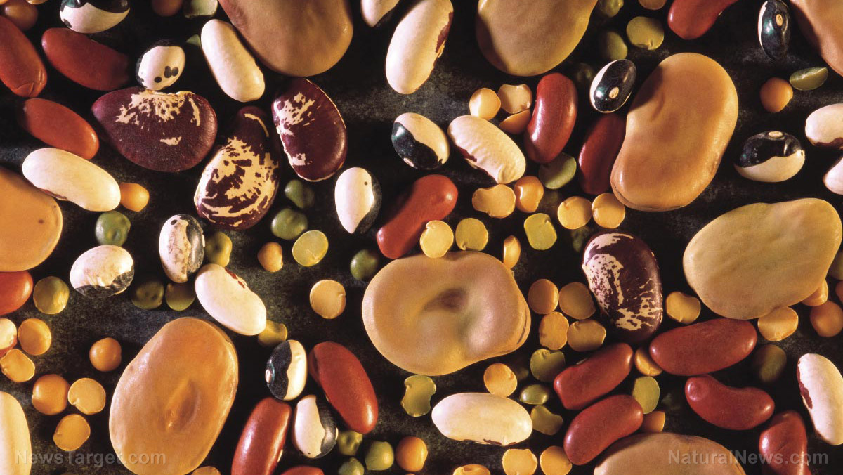 Bone-building on a plate: The calcium-rich legacy of legumes