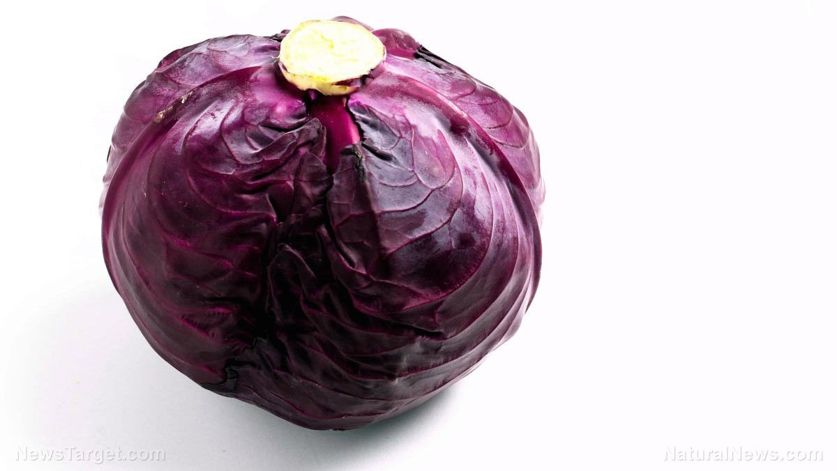Red cabbage: The colorful superfood packed with powerful health benefits