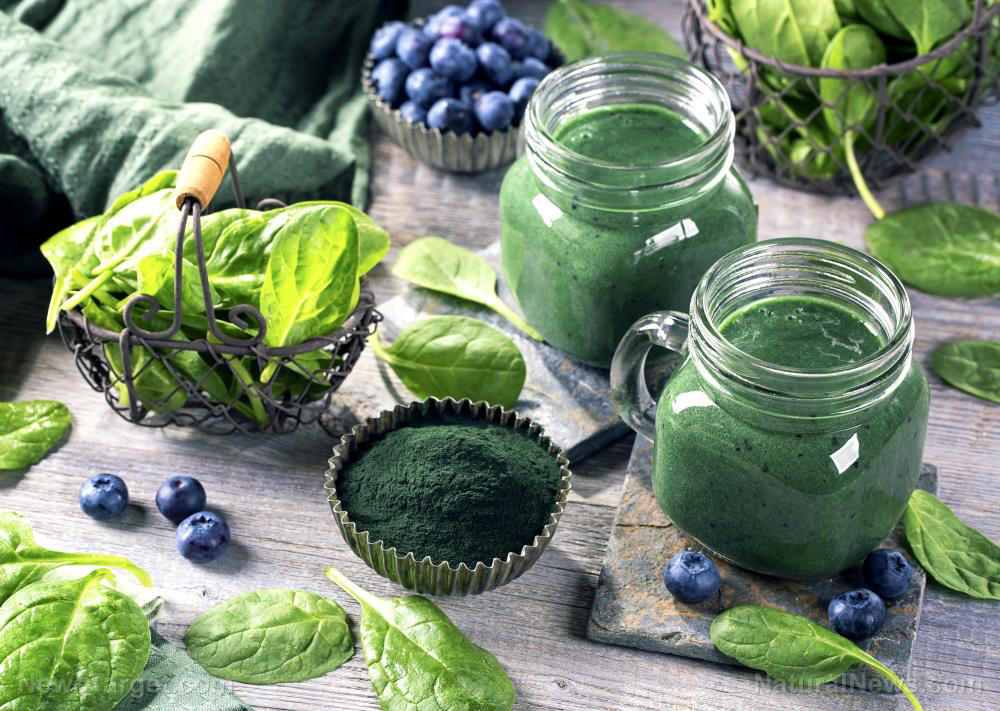 “UNBREAKABLE” on Bright U: The ancient “genomic fortress” hidden in green powder