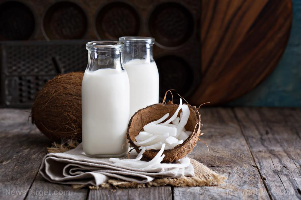 Organic coconut milk powder is a versatile ingredient for plant-based cooking