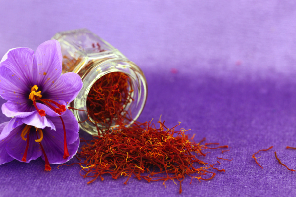 Saffron: The golden spice of wellness and culinary delight