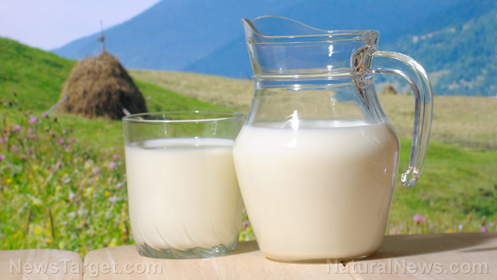 Full-fat dairy reconsidered: New science challenges decades of dietary dogma