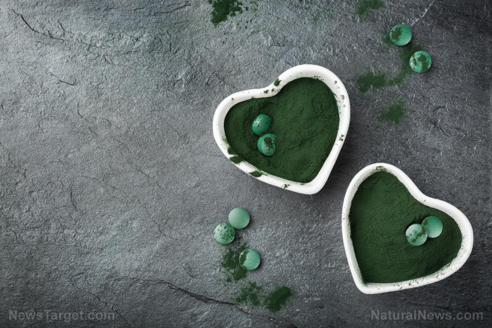 Chlorella tablets: A nutrient-dense addition to a balanced diet