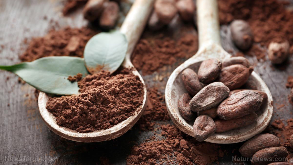 The desk job antidote: How a simple cup of cocoa could save your arteries